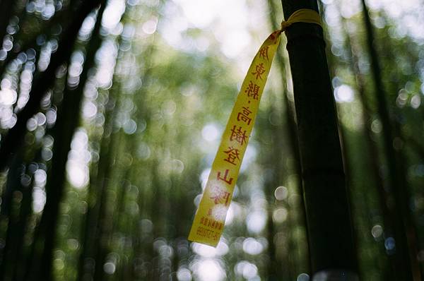 高樹登山隊.jpg 高樹登山隊.jpg