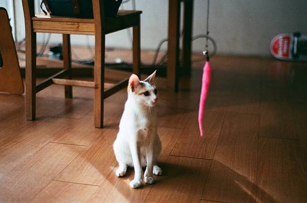 逐漸模糊的回憶.jpg 逐漸模糊的回憶.jpg