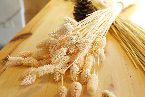 P1070128.JPG P1070128.JPG