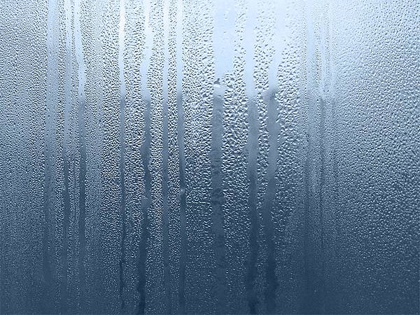 humid window.jpg