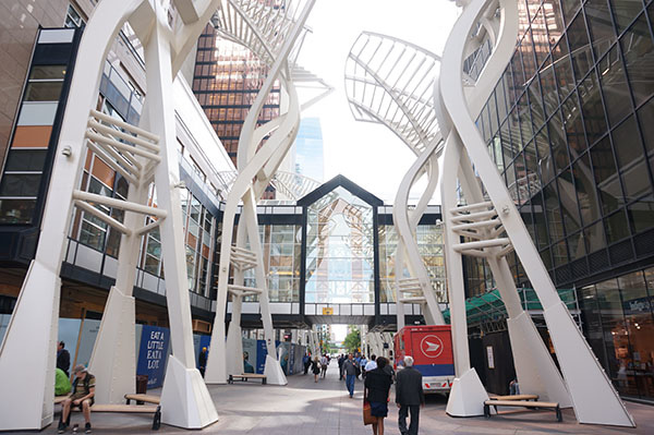 DSC06886.jpg DSC06886.jpg