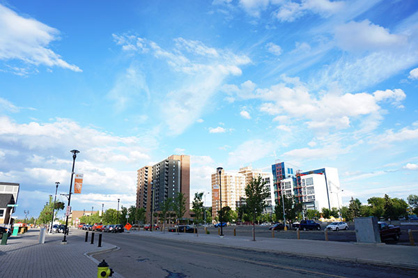 DSC06900.jpg DSC06900.jpg