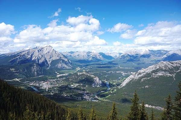 DSC06993.jpg DSC06993.jpg