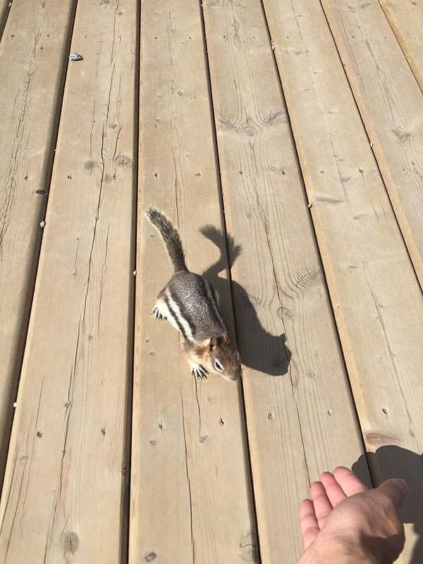 IMG_4721.jpg IMG_4721.jpg