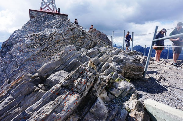 DSC07037.jpg DSC07037.jpg