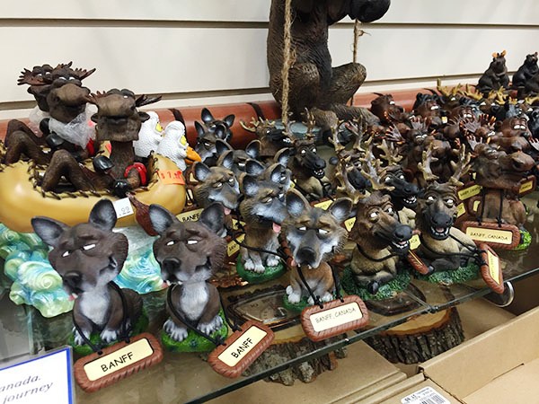 IMG_4806.jpg IMG_4806.jpg