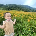 1100815花蓮 赤柯山金針_210822_88.jpg