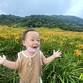 1100815花蓮 赤柯山金針_210822_89.jpg