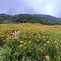 1100815花蓮 赤柯山金針_210822_98.jpg