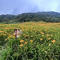 1100815花蓮 赤柯山金針_210822_99.jpg