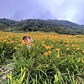 1100815花蓮 赤柯山金針_210822_100.jpg