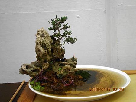 IMG_0467 IMG_0467