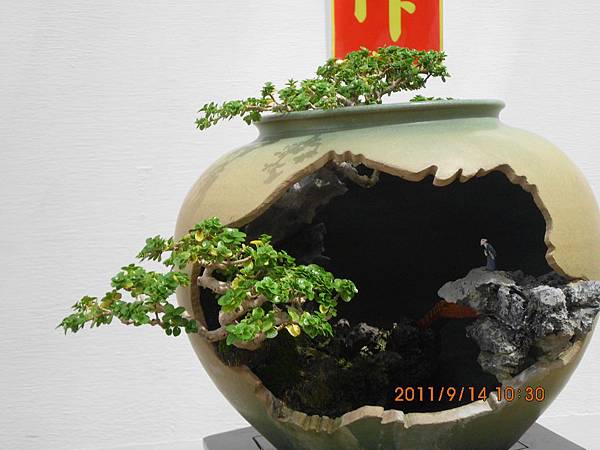 IMG_0468 IMG_0468