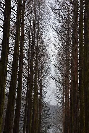 DSC_3274 DSC_3274