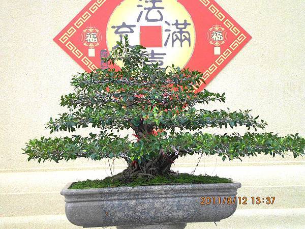桌面 221 桌面 221