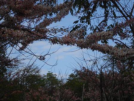 IMG_0864 IMG_0864