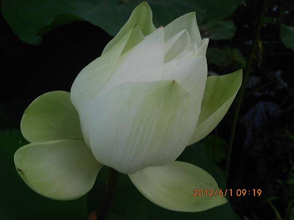 IMG_1357 IMG_1357