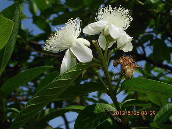 IMG_1326 IMG_1326