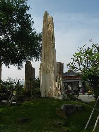 IMG_1002 IMG_1002
