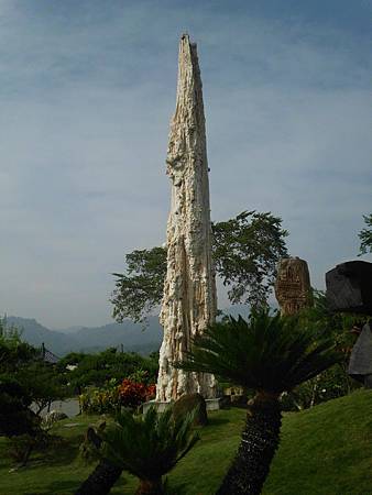 IMG_1004 IMG_1004