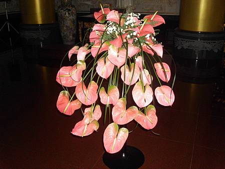IMG_0993 IMG_0993