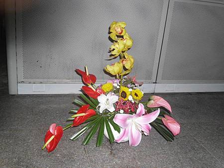 IMG_0994 IMG_0994