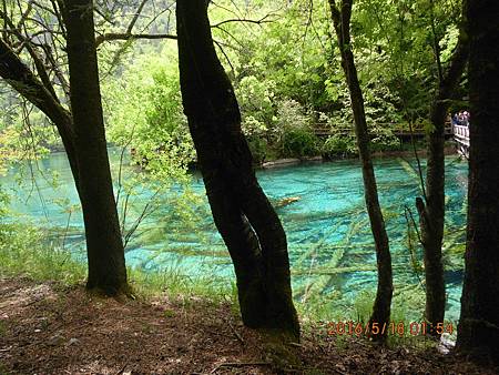 IMG_2314.JPG IMG_2314.JPG