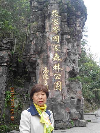 數位相機 (432).JPG 數位相機 (432).JPG
