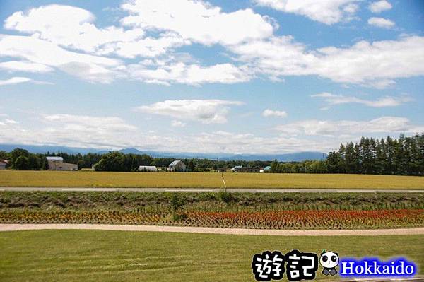 北海道07.jpg