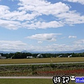 北海道42.jpg