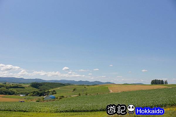 美瑛拼布之路01