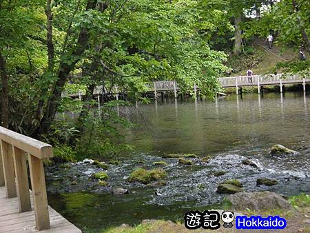 京極羊蹄湧水公園26