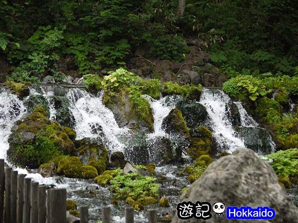 京極羊蹄湧水公園27