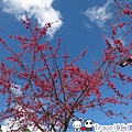 IMG_5216.jpg