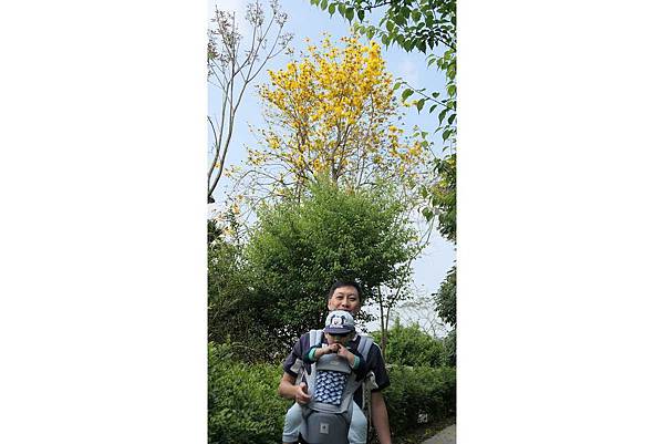 中埔遊客中心075.jpg 中埔遊客中心075.jpg