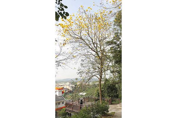 中埔遊客中心092.jpg 中埔遊客中心092.jpg