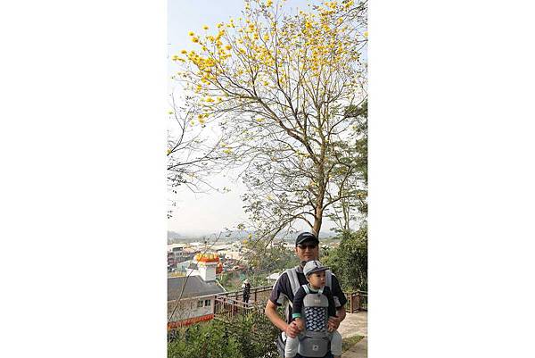 中埔遊客中心093.jpg 中埔遊客中心093.jpg