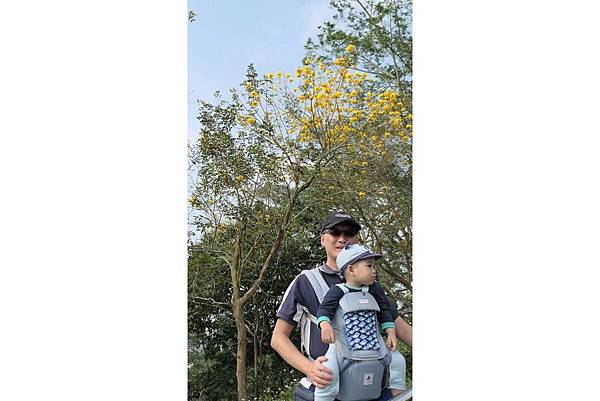 中埔遊客中心090.jpg 中埔遊客中心090.jpg