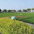 雲林埤頭繪本公園13.jpg