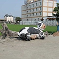 雲林埤頭繪本公園18.jpg