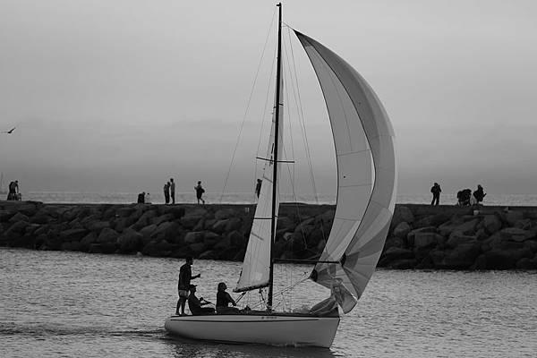 191497698_10224358523246583_3504652033902568586_n.jpg 191497698_10224358523246583_3504652033902568586_n.jpg