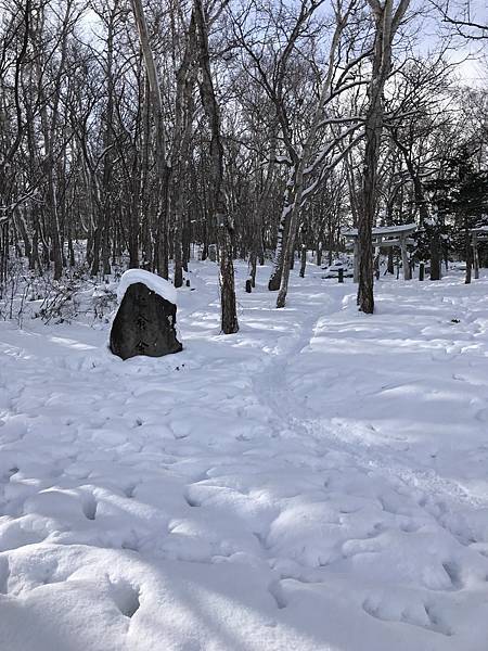 跟著JR日本東北行+北海道聖誕節(四)-小樽天狗山