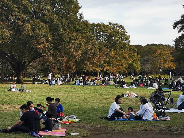 IMG_20191027_140411 - 複製.jpg IMG_20191027_140411 - 複製.jpg