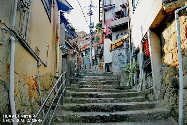 IMG_20210620_101742684.jpg IMG_20210620_101742684.jpg