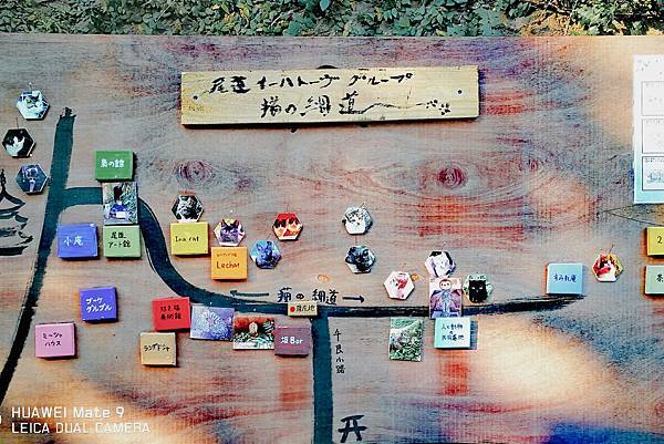 IMG_20210620_101803950.jpg IMG_20210620_101803950.jpg