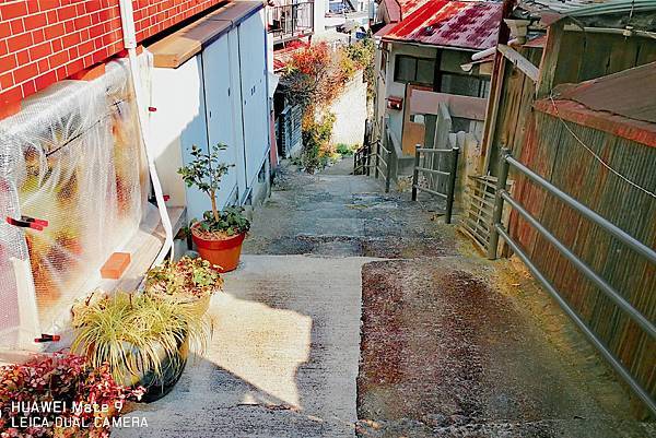 IMG_20210620_101733037.jpg IMG_20210620_101733037.jpg