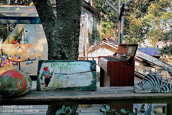 IMG_20210620_101819731.jpg IMG_20210620_101819731.jpg