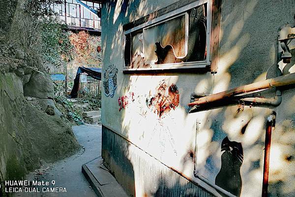 IMG_20210620_101838605.jpg IMG_20210620_101838605.jpg