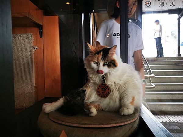 IMG_20190710_095744.jpg IMG_20190710_095744.jpg