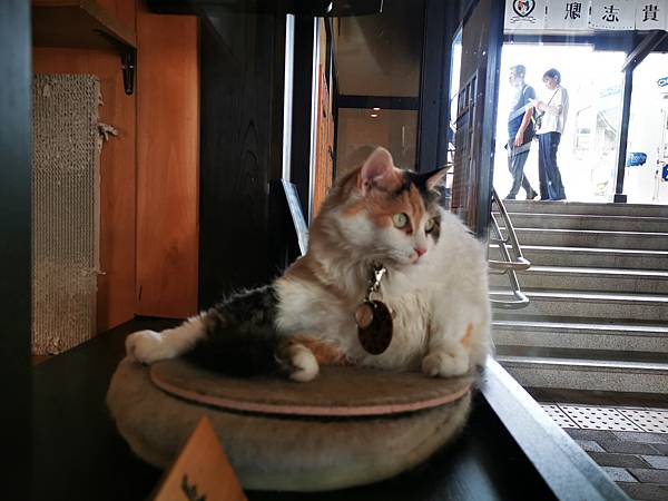 IMG_20190710_095801.jpg IMG_20190710_095801.jpg